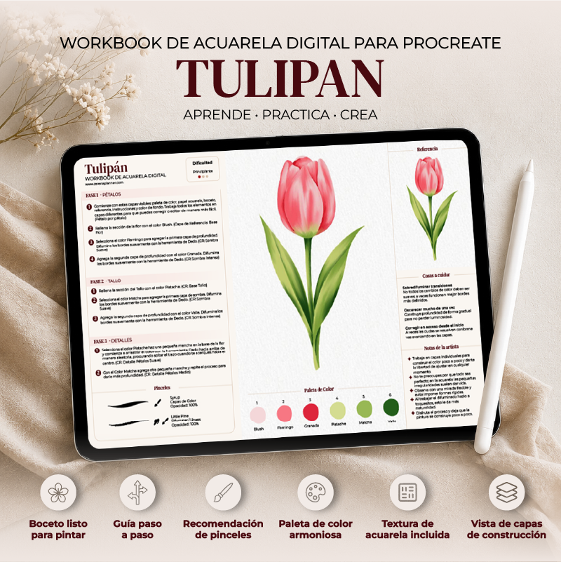 Workbook Procreate - Tulipán