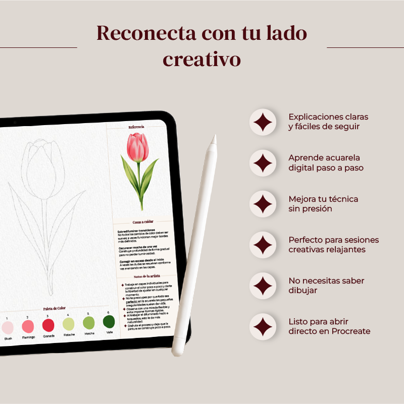 Workbook Procreate - Tulipán - Image 3
